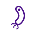 bacteria-icon